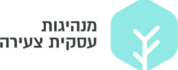מנהיגות עסקית צעירה